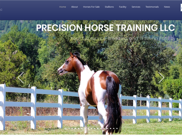 Precision Training LLC