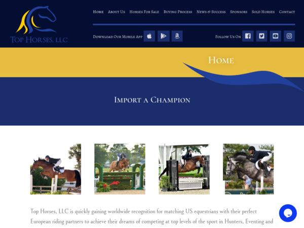 Top Horses LLC