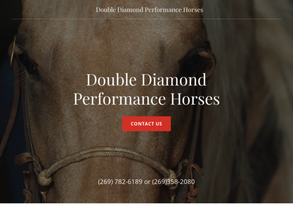 Double Diamond Quarter Horses