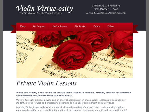 Violin Virtue-Osity