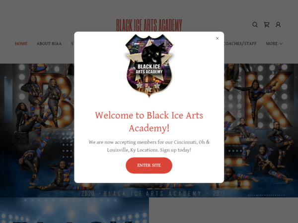 Black Ice Arts Academy