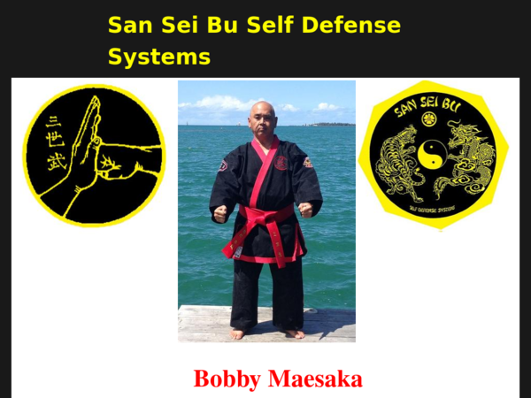 San Sei Bu Self Defense Systems