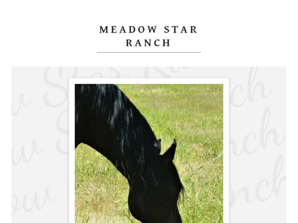 Carmel Valley Ranch & Ryckman Equestrian