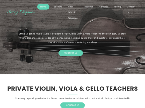 String Elegance Studio