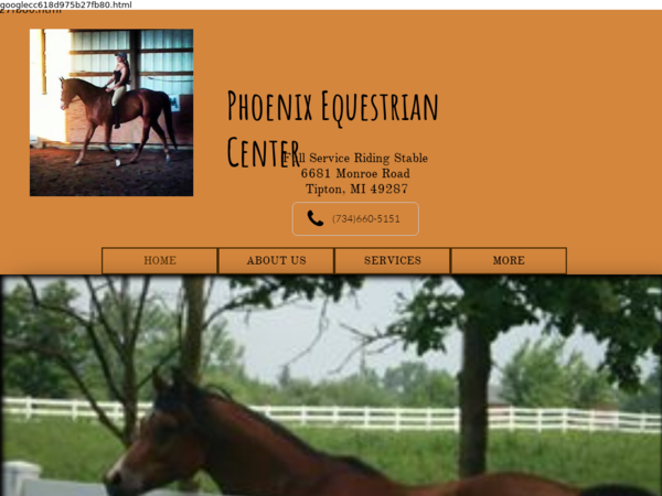 Phoenix Equestrian Center