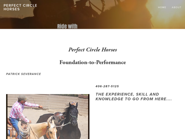 Perfect Circle Horses