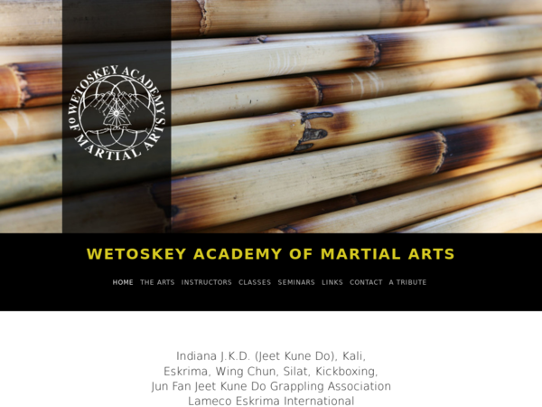 Wetoskey Academy Martial Arts