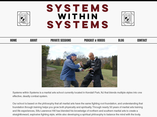 Systems Within Systems School