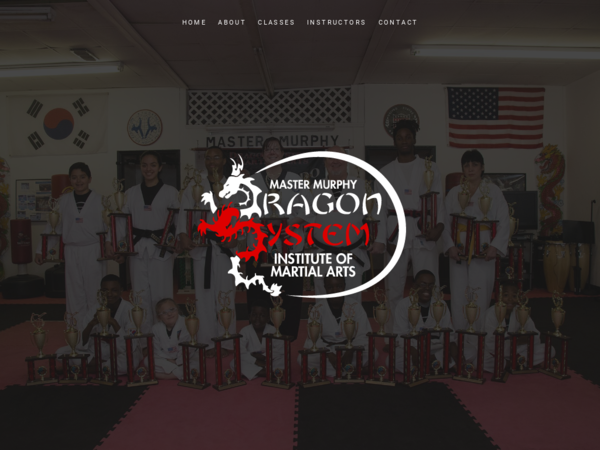 Dragon System Institute Of Martial Arts