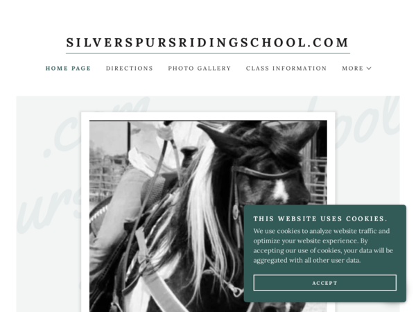 Silver Spurs Horseback Riding School
