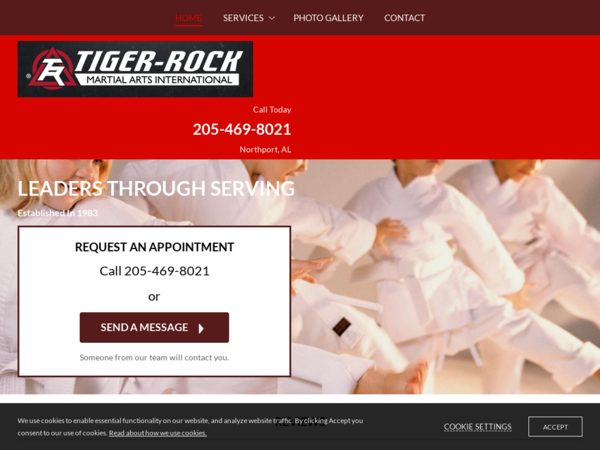 Bailey's Tiger Rock Martial Arts