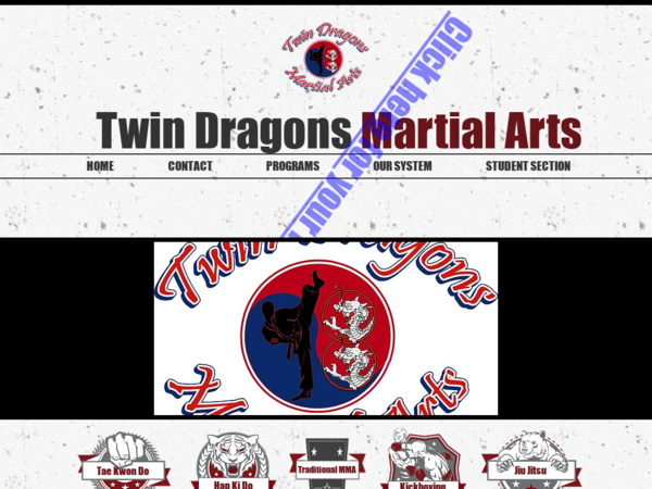 Twin Dragons Martial Arts