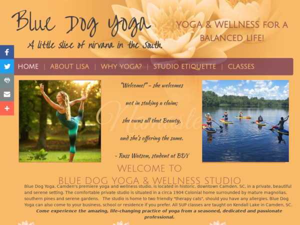 Blue Dog Yoga & Wellness