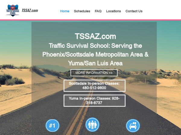 Traffic Survival School