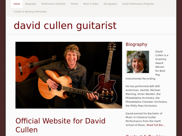David Cullen Guitarist