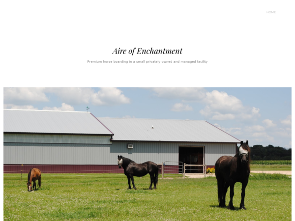 Aire of Enchantment Friesian