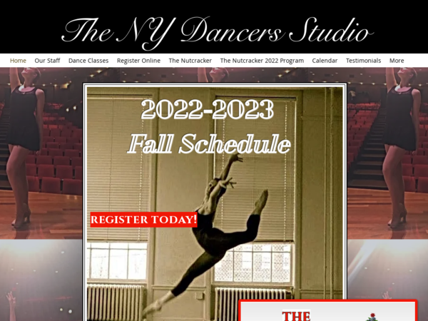 N Y Dancers Studio Inc